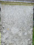 image of grave number 446157